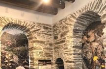 Andros Full Day Sightseeing Tour