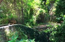 Andros Full Day Sightseeing Tour