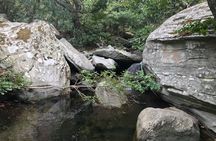 Andros Full Day Sightseeing Tour