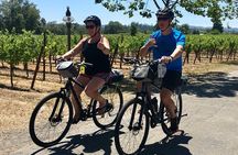Santa Rosa Bike & Wine Tour