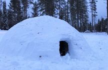 Cool Igloo Experience