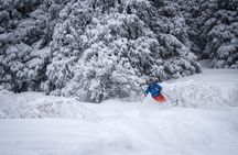 1-day Backcountry Tour