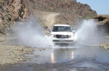 Hatta Day Trip with Beautiful Mountain Views, Exciting Activities