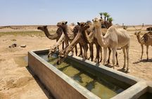Private 5-Day Escape to Berber Land from Marrakesh