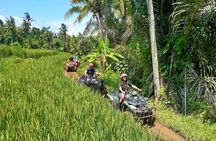 Private Quad Bike ATV with 2-hour Bali Massage and Spa 