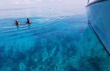 Snorkel, Sandbar & Dolphin Excursion