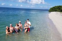 Snorkel, Sandbar & Dolphin Excursion