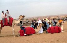 Dubai City Tour And Desert Safari
