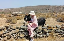 Private Half-Day Mykonos Insider Tour with Pick Up
