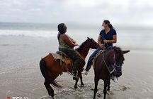 Horseback Riding Zihuatanejo