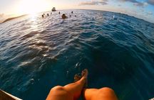 Snorkel to a Local's Secret Spot
