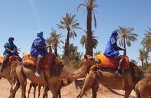 Adventure Quad Biks & Camel Ride 