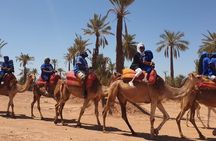 Adventure Quad Biks & Camel Ride 