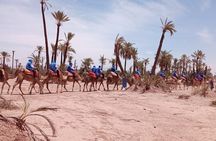 Adventure Quad Biks & Camel Ride 