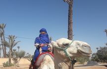 Adventure Quad Biks & Camel Ride 