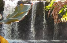 Halfway to Hana Sightseeing Adventure