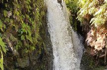 Halfway to Hana Sightseeing Adventure