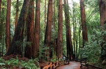 Muir Woods Express with Golden Gate Bridge Visit