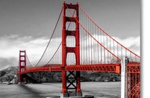 Muir Woods Express with Golden Gate Bridge Visit