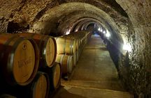 Ribera del Duero Tour: 4 Wineries Visit, Wine Tasting & Lunch
