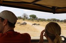 Full-Day Ngorongoro Crater private tour