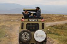 Full-Day Ngorongoro Crater private tour
