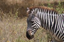 2 days private lodge safari