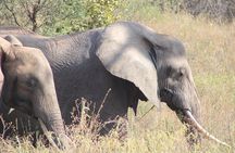 2 days private lodge safari