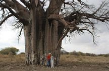 2 days private lodge safari