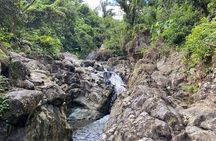 El Yunque Rainforest Morning River and Hike Adventure