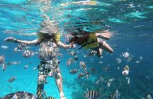 Guided Snorkeling Adventure in West Bay