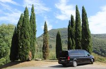 Tuscan Wine Tour in Lucca by van
