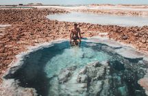 3 Days 2 Nights Tour To Alamein , Siwa Oasis & Masra Matrouh From Cairo 