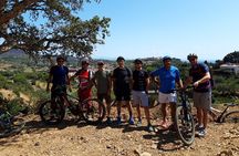 Guided Cycle Tourism Wine Tour by E-Bike on the Island of Elba "Arrighi"