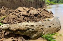 Jason Crocodile Tours