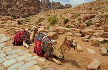 From Agadir or Port Trip to Small Sahara of Massa and Tiznit with Lunch