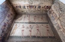 Villa Romana del Casale Mosaics Unesco Private Tour