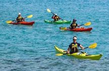 Kayak In Dubai Jumeirah Beach - With Free Transfer 