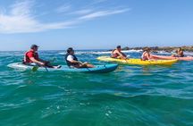 Kayak In Dubai Jumeirah Beach - With Free Transfer 