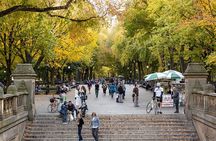 Central Park and 5th Avenue Walking Tour