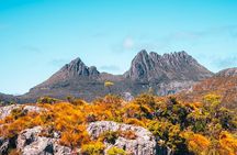 Cradle Mountain National Park Day Tour from Launceston