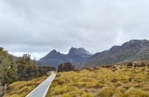 Cradle Mountain National Park Day Tour from Launceston