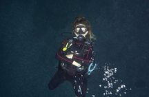 Diving tour in Isla del Caño for certified divers