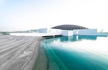 Abu Dhabi Mosque and Louvre Museum with Lunch from Dubai