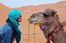 4x4 Desert Safari Abu Dhabi with BBQ Dinner
