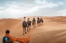 4x4 Desert Safari Abu Dhabi with BBQ Dinner