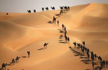 Full Day LIWA 4x4 Safari With Lunch Included From Abu Dhabi
