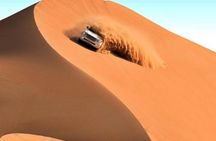 Full Day LIWA 4x4 Safari With Lunch Included From Abu Dhabi