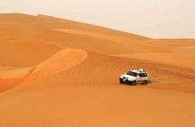 Full Day LIWA 4x4 Safari With Lunch Included From Abu Dhabi