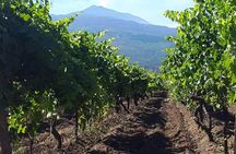 Etna excursion and wine tasting with Sicilian lunch